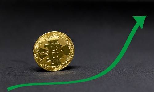 24855497098_7426a32e66_b_gaitubao_500x300