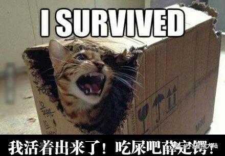 干货 | 量子计算机真的能摧毁区块链网络吗？