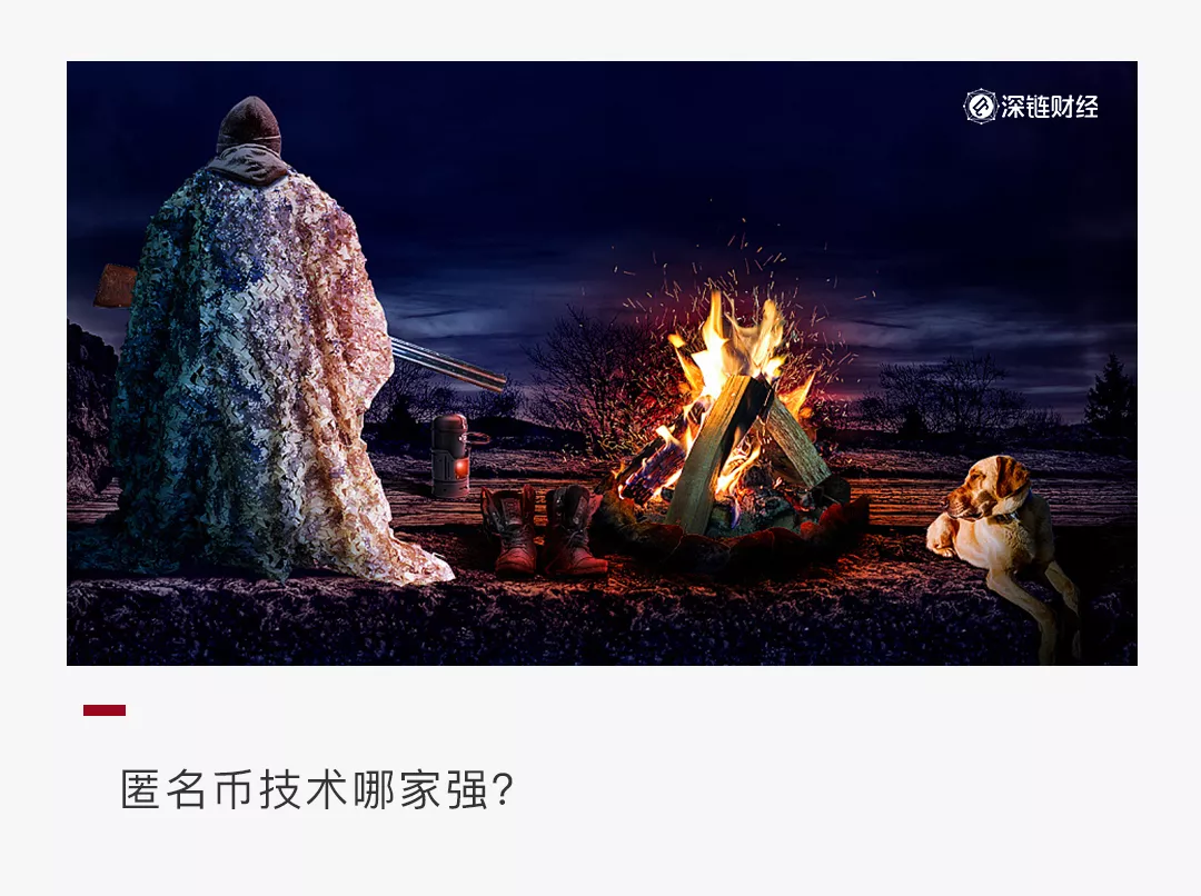 风险与机会，六大热门匿名币哪个更值得关注？