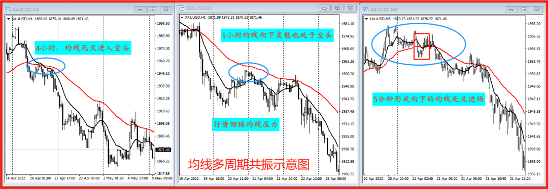 158192d4-b0c1-437d-b030-692ef8ef09f6.png