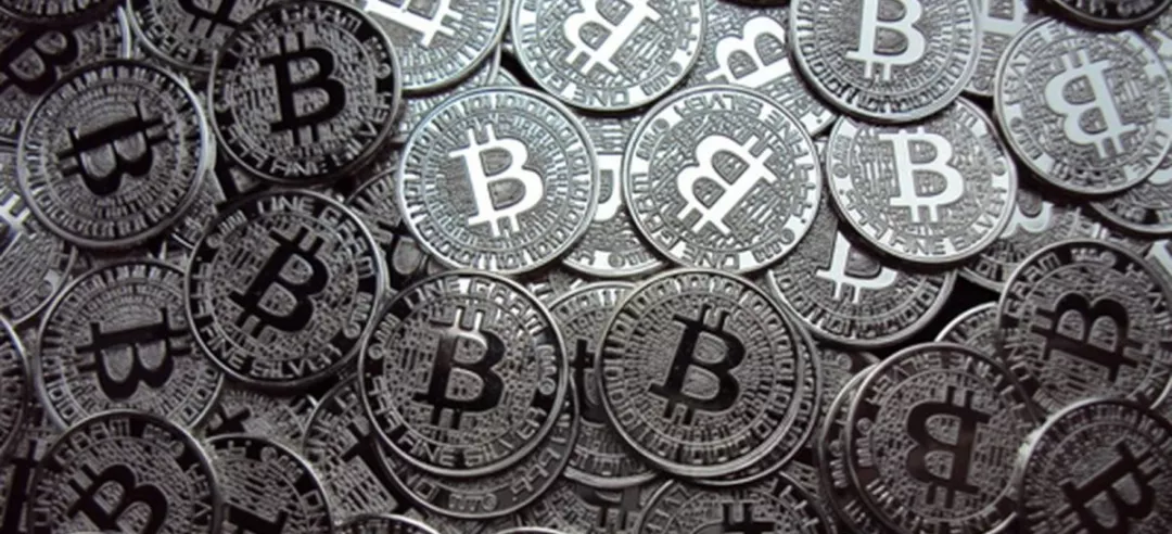 巴比特专栏 | 比特币正在成为一头灰犀牛吗?