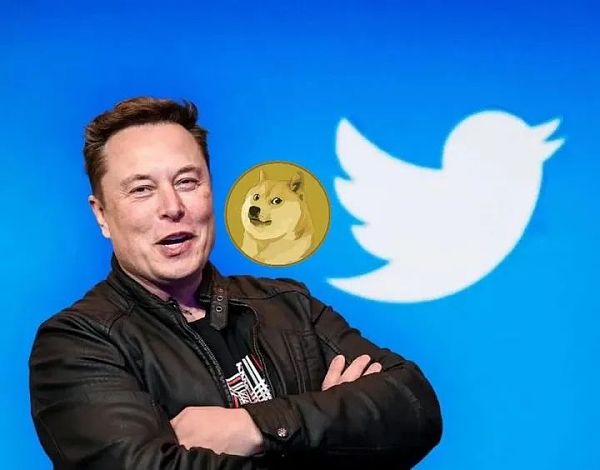 拿下Twitter的马斯克 掐住了 Web3 的喉舌
