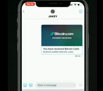 2021年热点与区块链支付类项目简析:LTC、BCH、USDC、ACH等