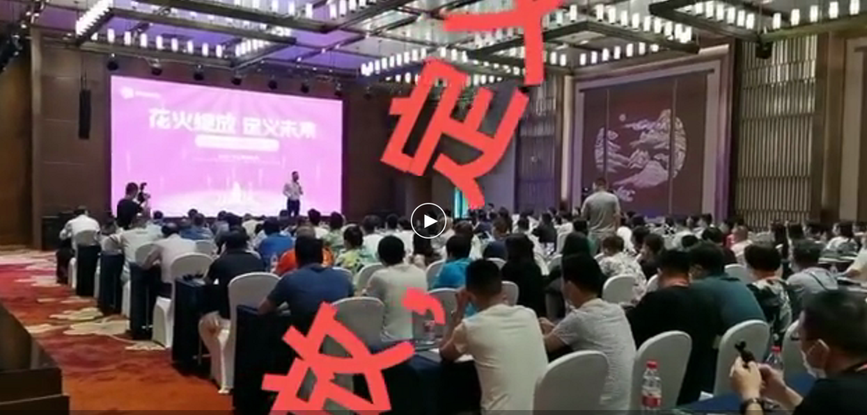 花火崩盘记:资金盘何以成为信仰