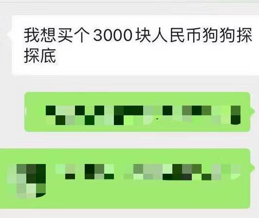 币圈思考「疯狂动物城」启示录