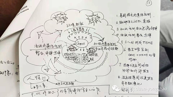 段永朝：深度理解元宇宙：从Cyborg、OBE、MEME说起