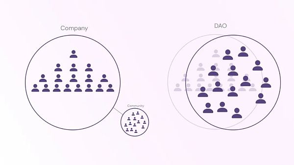 探索渐进式去中心化：从三个阶段分析如何构建一个成功的DAO
